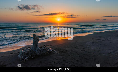 Sonnenaufgang auf dem Meer, alte Holz baumstumpf am Ufer Stockfoto