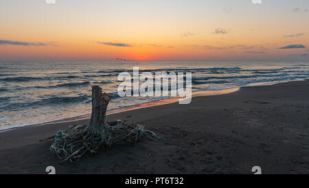 Sonnenaufgang auf dem Meer, alte Holz baumstumpf am Ufer Stockfoto