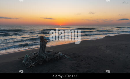 Sonnenaufgang auf dem Meer, alte Holz baumstumpf am Ufer Stockfoto