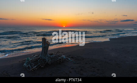 Sonnenaufgang auf dem Meer, alte Holz baumstumpf am Ufer Stockfoto