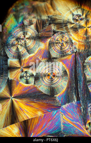 Salicin chemische micro Folie schmelzen, Kreuz polarisiert, Beleuchtung, photomicrograph, Salicin wird häufig auch in der Rinde von Populus Arten gefunden. Stockfoto