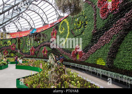 Die Royal Botanic Gardens in Sydney, hat den größten Innenraum grüne Wand in der südlichen Hemisphäre. Sowie mit mehr als 18 000 Pflanzen growin Stockfoto