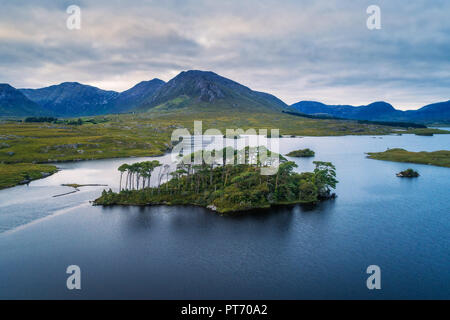 Luftaufnahme der Pinien Insel im Derryclare Lake Stockfoto