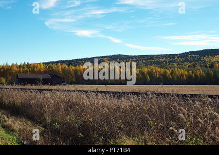 Schöne Herbstfarben in die Wälder und Seen rund um ländlichen Schweden. Stockfoto