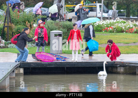 Stratford-upon-Avon, Warwickshire, England UK 20. September 2018 Chinesische Touristen fotografieren und Schwan in typisch englischem Ambiente Stockfoto