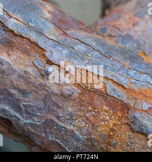 Nahaufnahme von dickem Rost an sehr belastbaren Festmacherketten. Abstrakte rostige Metallstruktur. Für Korrosion, Schwachstelle, Schwachstelle, Schwäche. Stockfoto