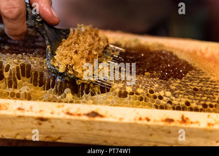 Die Bienenzucht. Der Imker entfernt das Wachs Deckel aus den Waben Frames, die Vorbereitung der Bilder für die Honiggewinnung Stockfoto