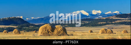 Panorama der Heuballen in folgenden Feldern Gipfel der Flint Creek Bereich in der Nähe von Avon, Montana Stockfoto