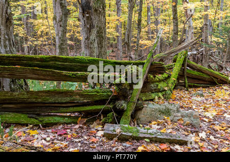 Alte Moos bedeckt split Schiene Zaun in den Adirondacks Stockfoto