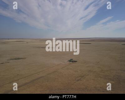 Kombinieren Sie die Ernte von Weizen, Saskatchewan, Kanada, Brian Martin RMSF Stockfoto