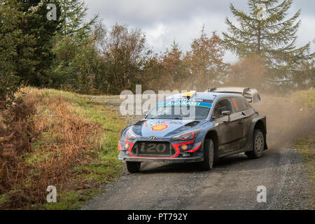 Dyfnant, UK. 6. Oktober 2018. Der Hyundai i20 WRC von Andreas Mikkelsen (Norwegen) mit der Geschwindigkeit auf dem Kies Waldwege, die Stufe 14 des 2018 Wales Rally von Großbritannien, durch den Wald in der Nähe von Dyfnant Welshpool, Powys, Wales Credit: Mike Hillman/Alamy leben Nachrichten Stockfoto