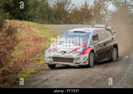 Dyfnant, UK. 6. Oktober 2018. Der Toyota Corolla WRC von Ott Tanak (Estland) mit der Geschwindigkeit auf dem Kies Waldwege, die Stufe 14 des 2018 Wales Rally von Großbritannien, durch den Wald in der Nähe von Dyfnant Welshpool, Powys, Wales Credit: Mike Hillman/Alamy leben Nachrichten Stockfoto