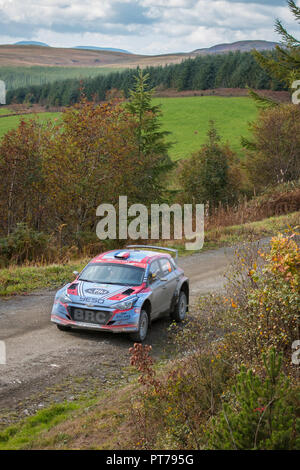 Dyfnant, UK. 6. Oktober 2018. Der Hyundai i20 R5 Rally Car von Pierre-Louis Loubet (Frankreich) mit der Geschwindigkeit auf dem Kies Waldwege, die Stufe 14 des 2018 Wales Rally von Großbritannien, durch den Wald in der Nähe von Dyfnant Welshpool, Powys, Wales Credit: Mike Hillman/Alamy leben Nachrichten Stockfoto