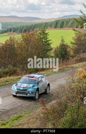 Dyfnant, UK. 6. Oktober 2018. Der Skoda Fabia R5 Rally Car von lucasz Pieniazek (Polen) mit der Geschwindigkeit auf dem Kies Waldwege, die Stufe 14 des 2018 Wales Rally von Großbritannien, durch den Wald in der Nähe von Dyfnant Welshpool, Powys, Wales Credit: Mike Hillman/Alamy leben Nachrichten Stockfoto