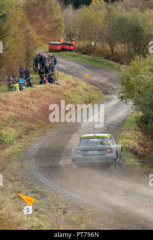 Dyfnant, UK. 6. Oktober 2018. Der Skoda Fabia R5 Rally Car von Rhys Yates (Großbritannien) mit der Geschwindigkeit auf dem Kies Waldwege, die Stufe 14 des 2018 Wales Rally von Großbritannien, durch den Wald in der Nähe von Dyfnant Welshpool, Powys, Wales Credit: Mike Hillman/Alamy leben Nachrichten Stockfoto