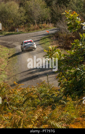 Dyfnant, UK. 6. Oktober 2018. Der Wald um Dyfnant bieten die spektakuläre Kulisse mit Stufe 14 der 2018 Dayinsure Wales Rally von Großbritannien, der 11. Runde des 2018 Credit: Mike Hillman/Alamy leben Nachrichten Stockfoto