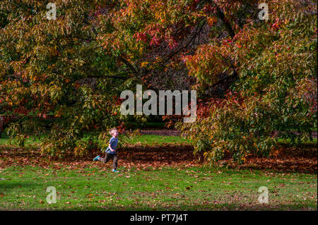 Kew Gardens, London. 7. Okt 2018. UK Wetter: 07.10.2018, London, UK Farben des Herbstes in Kew Gardens, London. Ein Kind läuft mit Herbstfarben im Hintergrund Credit: Chandra Prasad/Alamy leben Nachrichten Stockfoto