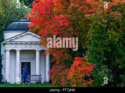 Kew Gardens, London. 7. Okt 2018. UK Wetter: 07.10.2018, London, UK Farben des Herbstes in Kew Gardens, London. Quelle: Chandra Prasad/Alamy leben Nachrichten Stockfoto