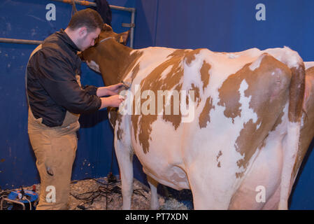 Ambiente Fotografie an der Landwirtschaft 2018 zeigen Stockfoto