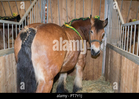 Ambiente Fotografie an der Landwirtschaft 2018 zeigen Stockfoto