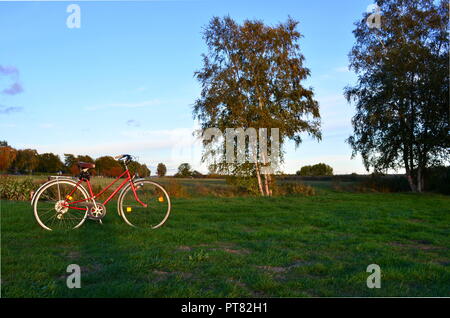 Rotes Fahrrad stehend auf grünen Wiesen, neben Bäumen Stockfoto