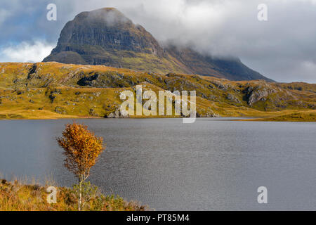 SUILVEN UND RIVER KIRKAIG SUTHERLAND SCHOTTLAND HERBST ROWAN TREE UND FRÜHEN MORGENNEBEL ZUM HEBEN VON BERG Stockfoto