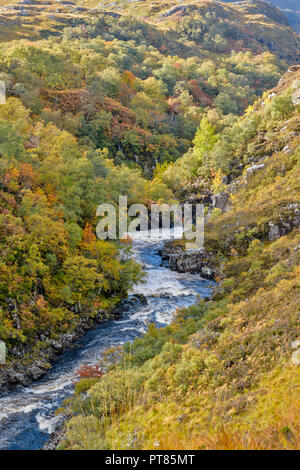 SUILVEN UND RIVER KIRKAIG SUTHERLAND SCHOTTLAND FLUSS UND von Bäumen gesäumte SCHLUCHT ÜBER DEM WASSERFALL ODER FÄLLT DER KIRKAIG IM HERBST Stockfoto