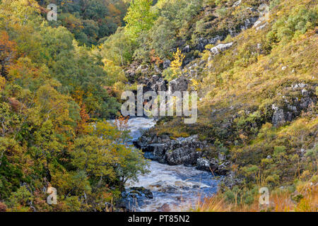 SUILVEN UND RIVER KIRKAIG SUTHERLAND SCHOTTLAND FLUSS UND von Bäumen gesäumte Schlucht oberhalb der Wasserfälle von KIRKAIG IM HERBST Stockfoto