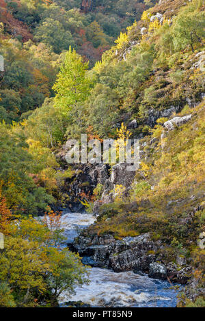 SUILVEN UND RIVER KIRKAIG SUTHERLAND SCHOTTLAND FLUSS UND von Bäumen gesäumte SCHLUCHT DIREKT ÜBER DEM WASSERFALL ODER FÄLLT DER KIRKAIG IM HERBST Stockfoto