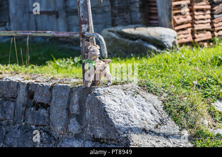 Kleines Plüschtier Reh auf einem Bahnhof auf der Schynige Platte in der Schweiz Stockfoto