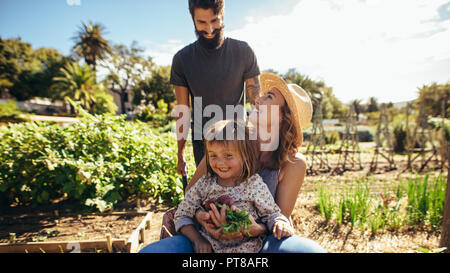 Freundliche Familie spielen mit der Schubkarre auf der Farm. Frau mit frischem Gemüse und Tochter sitzen auf schubkarren von ihrem Mann geschoben. Stockfoto