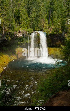 Koosah fällt auf die McKenzie River, Oregon Stockfoto