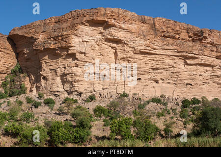 Bandiagara Escarpment in Mali (Afrika): ein sandsteinfelsen mit alten Tellem Wohnungen auf der Klippe und ein dogon Dorf unter. Stockfoto