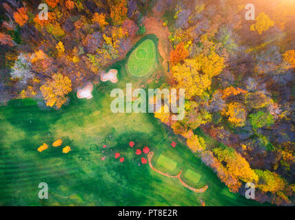 Luftaufnahme von erstaunlichen Herbst Park in Europa in den Abend. Landschaft mit Bäumen mit bunten Blättern, Feld mit grünem Gras und Pfade im Herbst. Scen Stockfoto