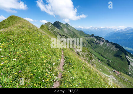 Wandern auf den Hardergrat ridge und Route, Interlaken, Schweiz, EU Stockfoto