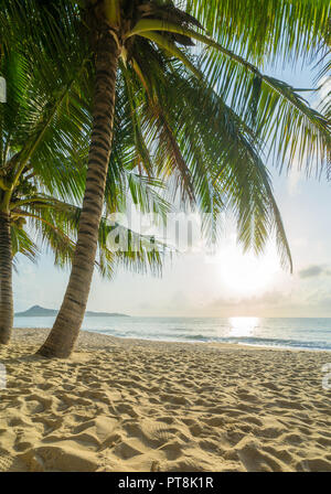 Meer Sonnenaufgang in Insel Koh Samui, Thailand. Stockfoto