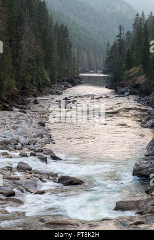 Wolf Creek Stromschnellen auf der Idaho Selway River. Stockfoto