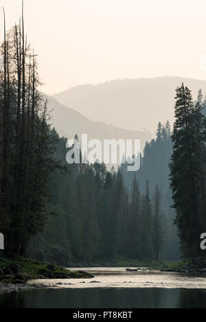 Ein ruhiger Abschnitt der Selway River im Selway-Bitterroot Wilderness, Idaho. Stockfoto