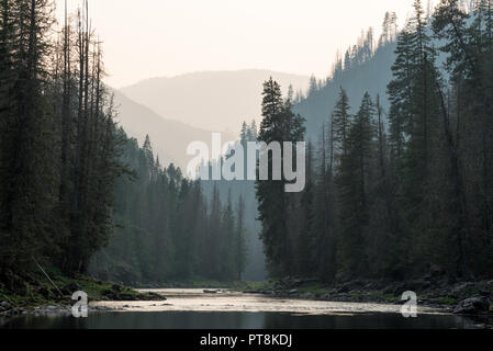 Ein ruhiger Abschnitt der Selway River im Selway-Bitterroot Wilderness, Idaho. Stockfoto