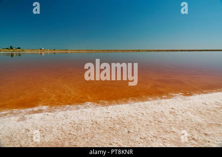 Closeup Sole und Salz rosa See, gefärbt durch Mikroalgen Dunaliella salina, berühmt für seine antioxidativen Eigenschaften, Wasser von Beta-carotin, bereichern. Stockfoto