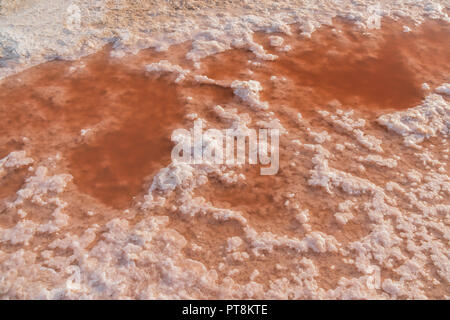 Closeup Sole und Salz rosa See, gefärbt durch Mikroalgen Dunaliella salina, berühmt für seine antioxidativen Eigenschaften, Wasser von Beta-carotin, bereichern. Stockfoto