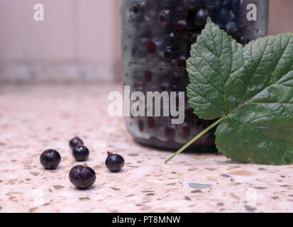 Schwarze Johannisbeere Beeren im Glas und grünem Blatt auf steinernen Tisch Hintergrund. Natürliche organische Lebensmittel Konzept. Selektiver Fokus, getönt. Stockfoto