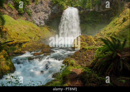 Sahalie fällt auf der Oregon McKenzie River Stockfoto