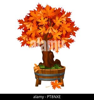 Bonsai ahorn Baum in einem holzzuber oder Blumentopf auf weißem Hintergrund. Laubbaum, das Symbol des goldenen Herbst. Vektor cartoon Close-up Abbildung. Stock Vektor