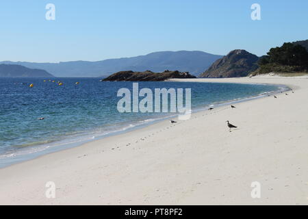Rodas Strand in Cies Inseln. Galizien, Spanien Stockfoto