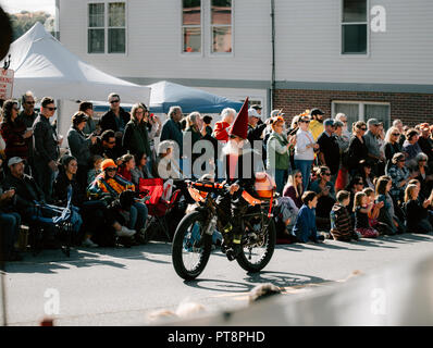 Kürbis Damariscotta Kürbis Fest Stockfoto