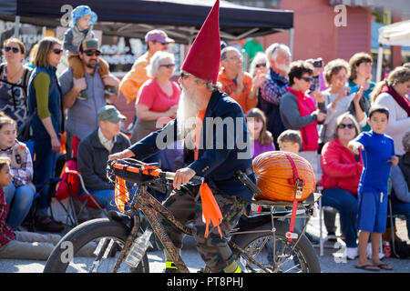 Kürbis Damariscotta Kürbis Fest Stockfoto