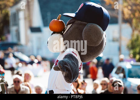 Kürbis Damariscotta Kürbis Fest Stockfoto