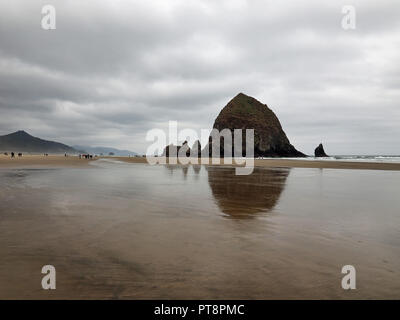 Die Menschen genießen die tidepools um Haystack Rock auf Cannon Beach, Oregon, bei extremer Ebbe an einem bewölkten Tag. Stockfoto