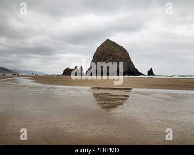 Die Menschen genießen die tidepools um Haystack Rock auf Cannon Beach, Oregon, bei extremer Ebbe an einem bewölkten Tag. Stockfoto
